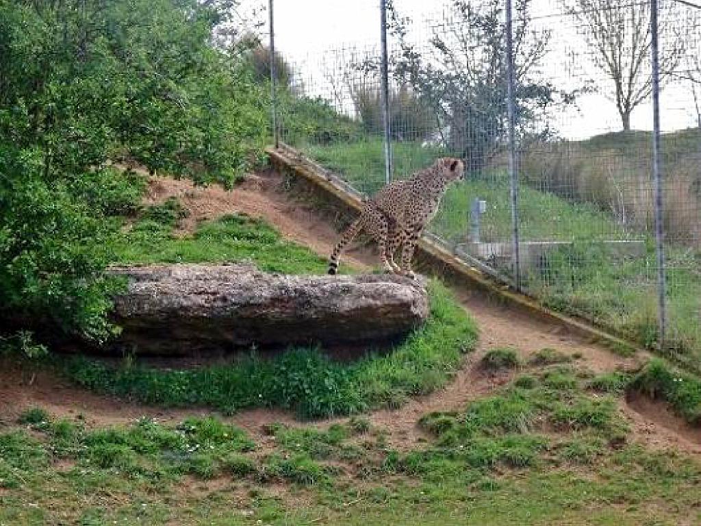 149 BIO PARC DE DOUE LA FONTAINE 7- 2016_000027.jpg